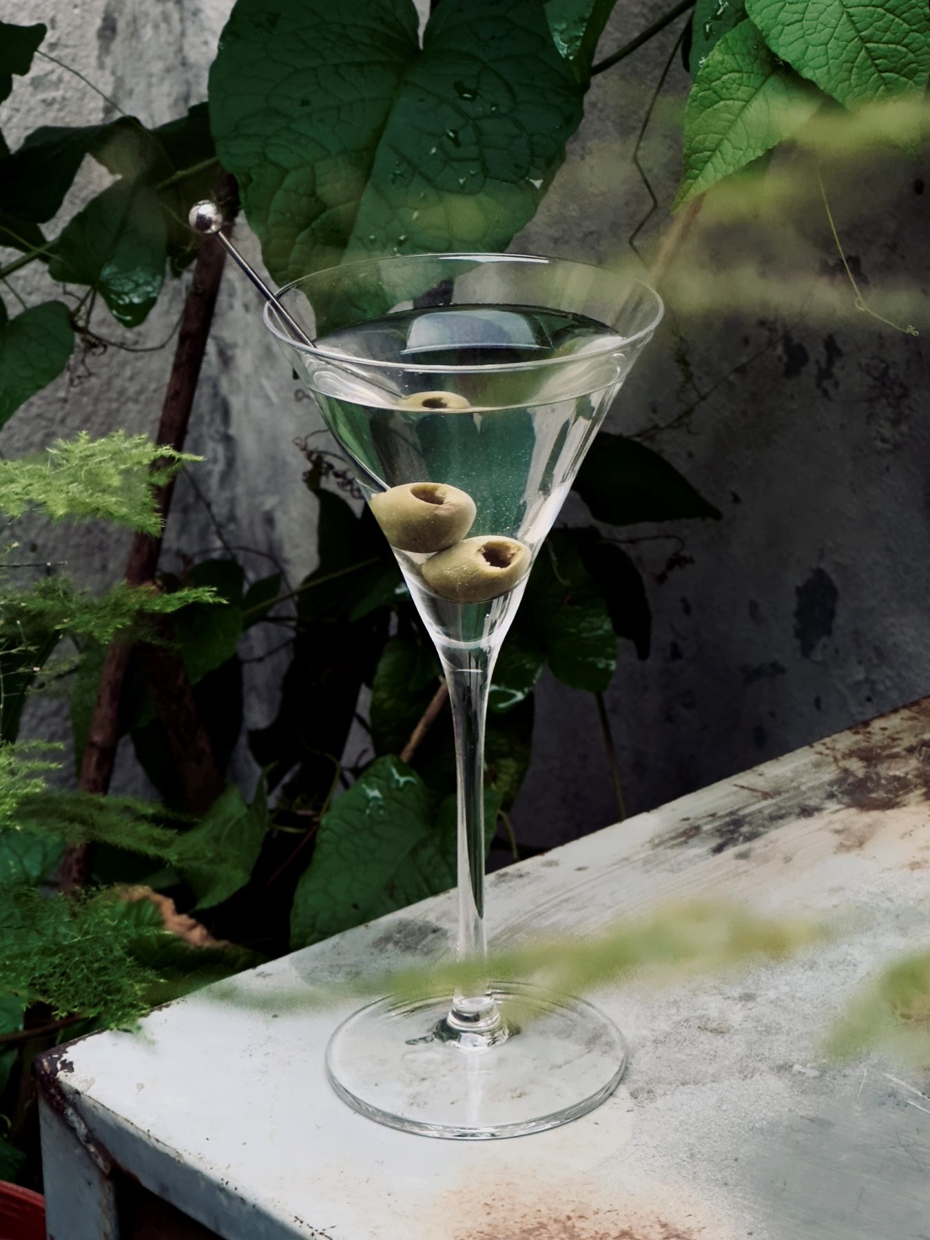 A dirty martini with green olives served against fresh garden foliage at Dissolved Solids